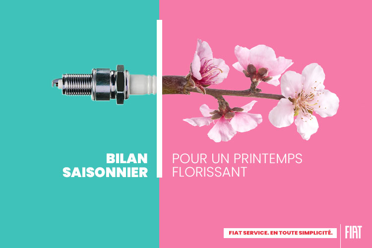 Bilan Expert + Mise à niveau des liquides offerts