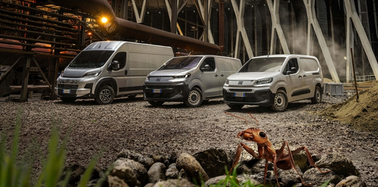 538x267 - The ant