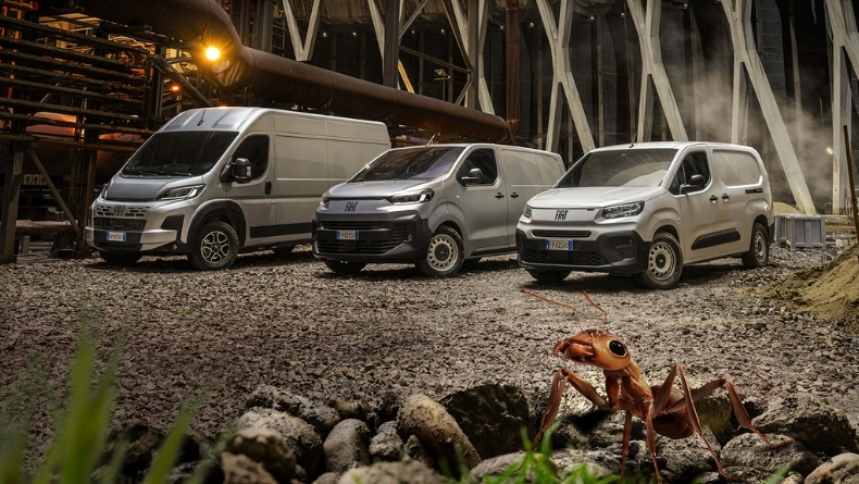 790x445 - The ant